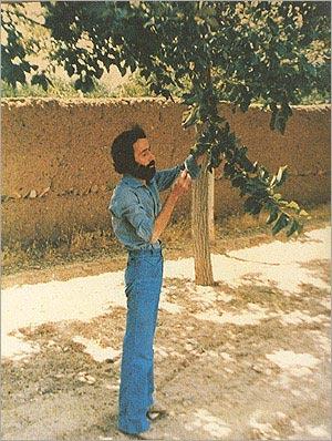 شهر كاشان-a0hbNnR1A4
