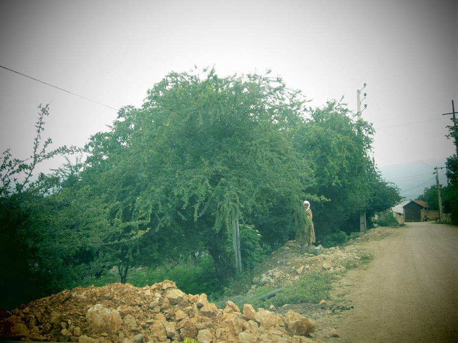 روستاهای ساری ( معرفی ۳۹۰ روستای ساری )-a3LywENQQ1