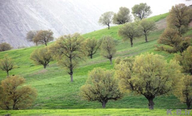 روستای گزدون-a8C6pNdhMq