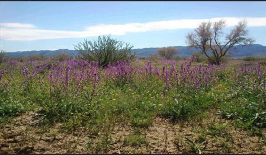 دره هندوستان-aBd7ShItzx