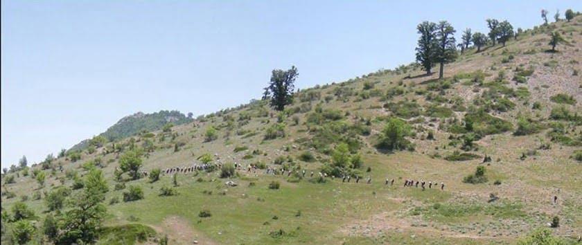 قله های شهرستان گرگان-aGwfZIDC3A