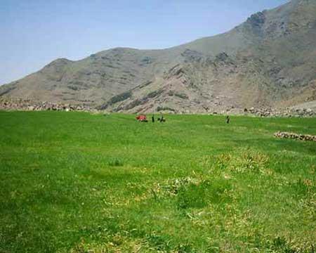 افجه روستایی زیبا-aLD7neajkR