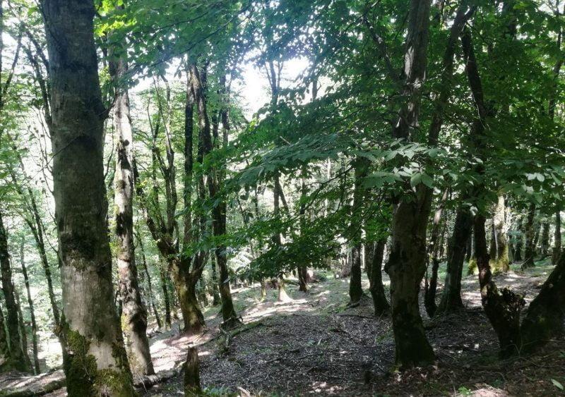روستای گلسرك-aNHyfg4gys