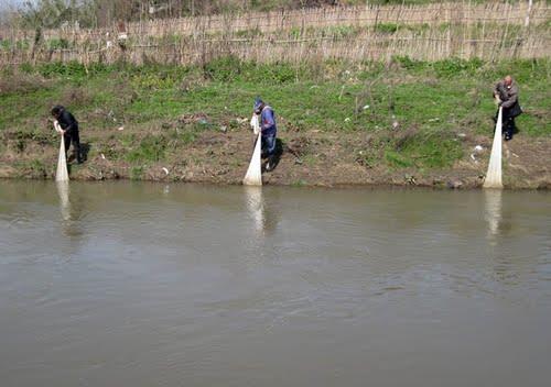 روستاهای لنگرود ( معرفی ۲۰۲ روستای لنگرود )-aQB9Gjt8lr