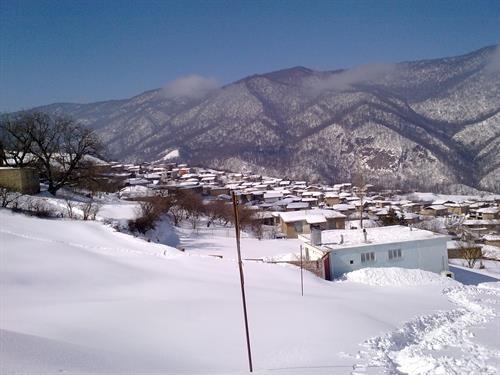 روستای وطن-aWRu9tWvsq