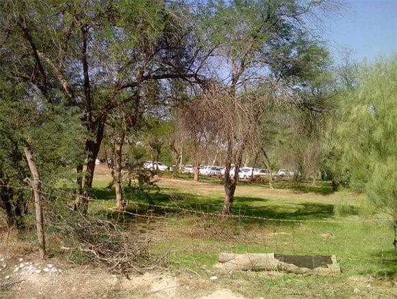 پارك جنگلی سركره دشتستان-aXrjEDnJsk