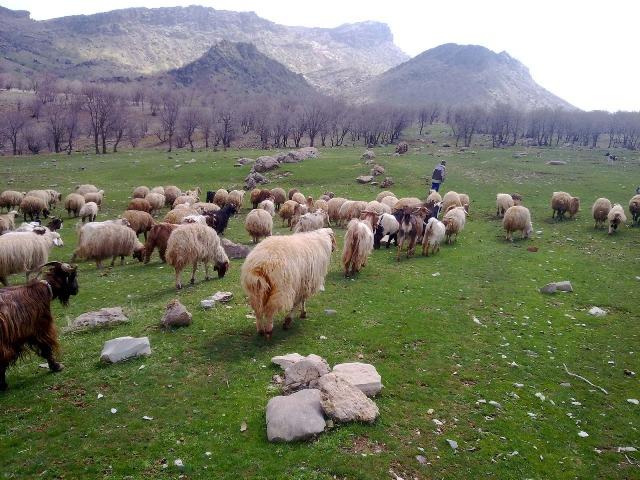 مجموعه توریستی مخمل كوه-aYoyRUKNMI