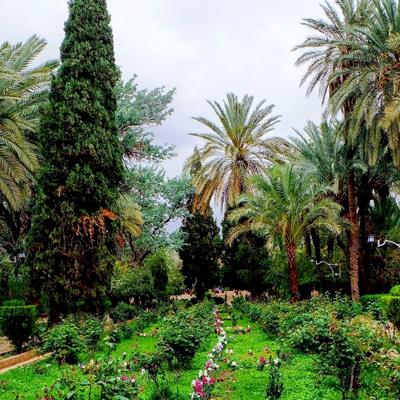 باغ گلشن طبس ، زیباترین باغ تاریخی در دل كویر-aaVpcq7tA7