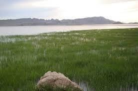 دریاچه گل شهر پیر-abbqkGSqKG