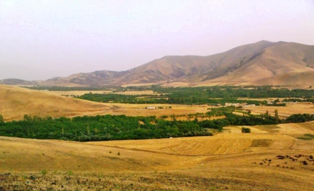 تالاب چم شور اسدآباد-aeQ47TM4P7