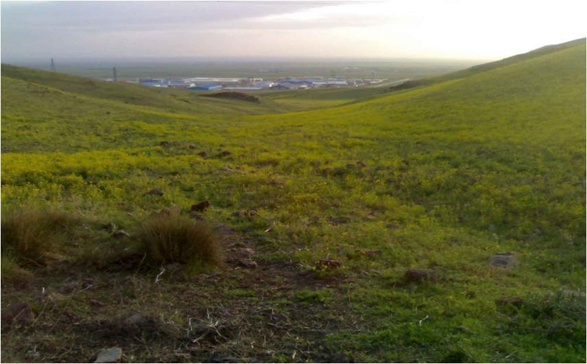 روستای انجیلاق-alSw6gGFft