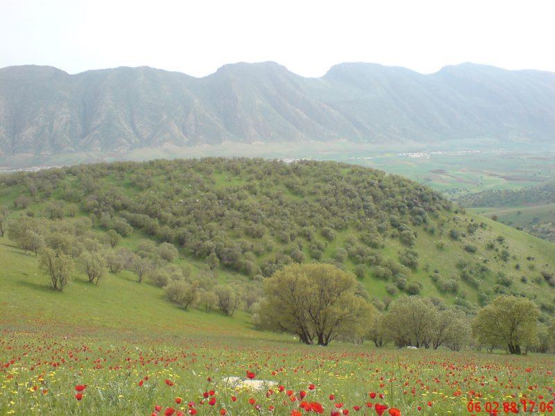 روستای قمرالی چله-amqSnuhskh