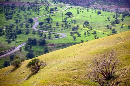 روستای اورامانات تخت-anY2RJeYu5