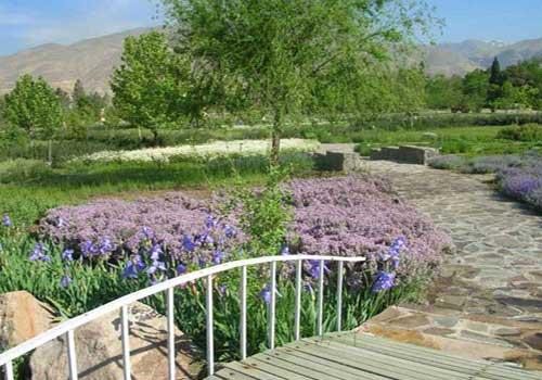 باغ گیاه شناسی ملی ایران-apO246Plv2