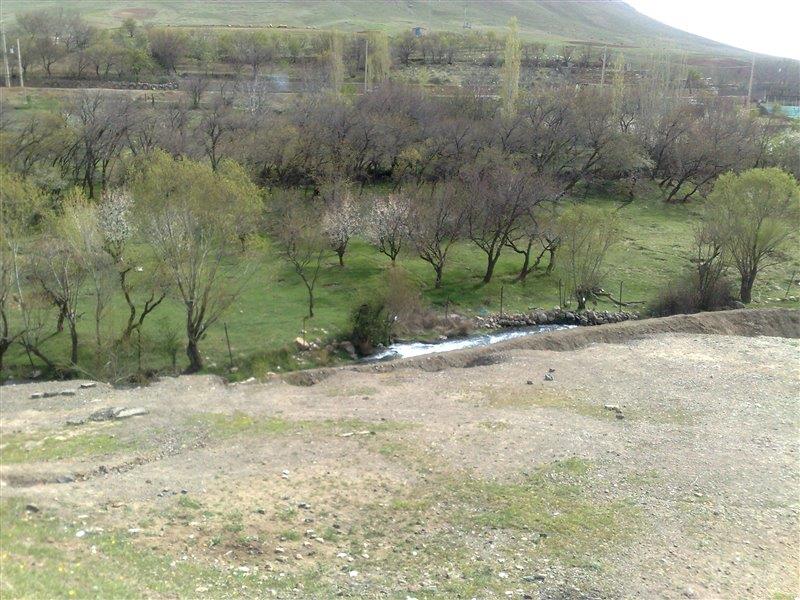 سراب گزنهله-azEtQYcqdZ