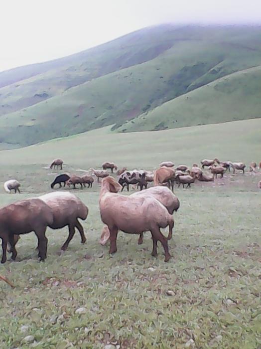 روستاهای گرمی ( معرفی ۲۲۰ روستای گرمی )-b5ofL8gPDV