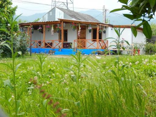 اقامتگاه بومگردی تختعلی لیسار-b6RT4PgMJK