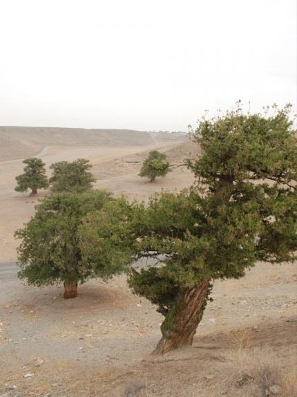 روستای گهوار گر-b6yO2kUaKF