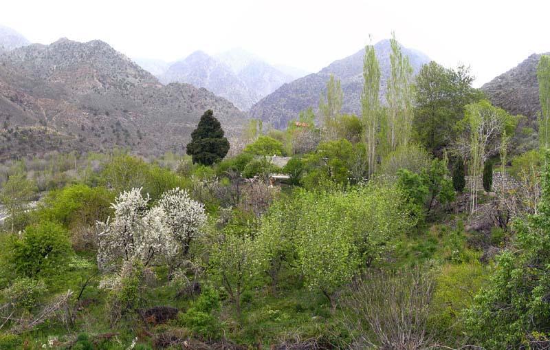 روستای دلفارد-bDBE7BUAcz