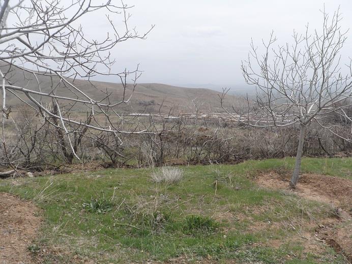 روستای سیراوند-bJWMhw6DWS