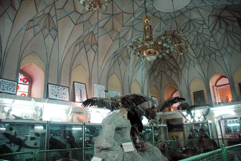 موزه تاریخ طبیعی اصفهان-bLDaziRpj3