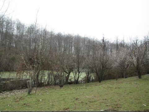 روستای قادیكلا-bMST4VaVum