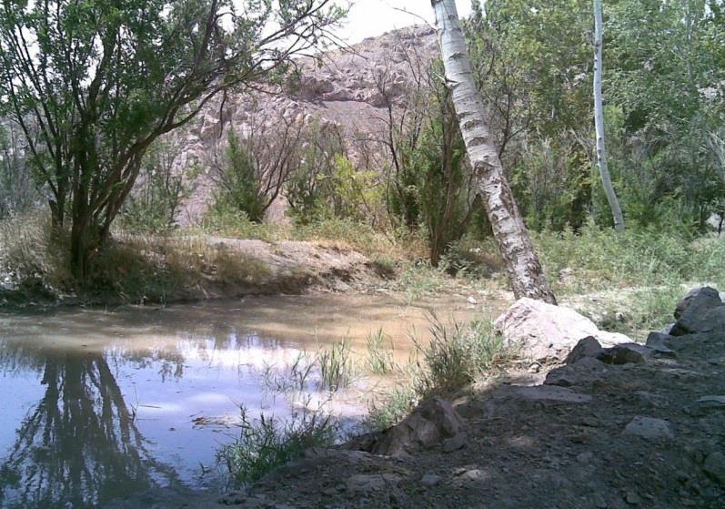 روستای بلاش آباد-bMof8zBTz7