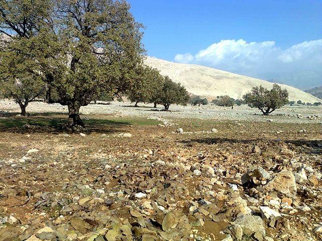روستای كناره-bMs5I8QOdi
