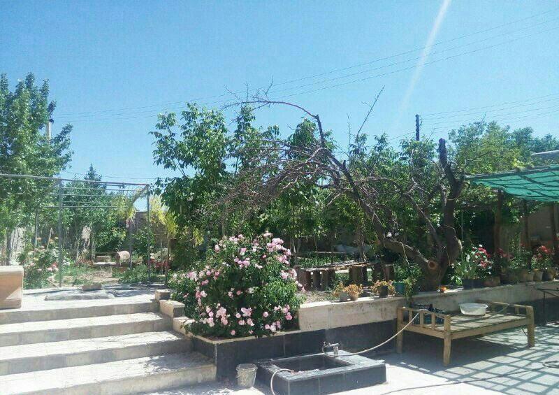 اقامتگاه بومگردی سرای جام-bTDiViEqsD