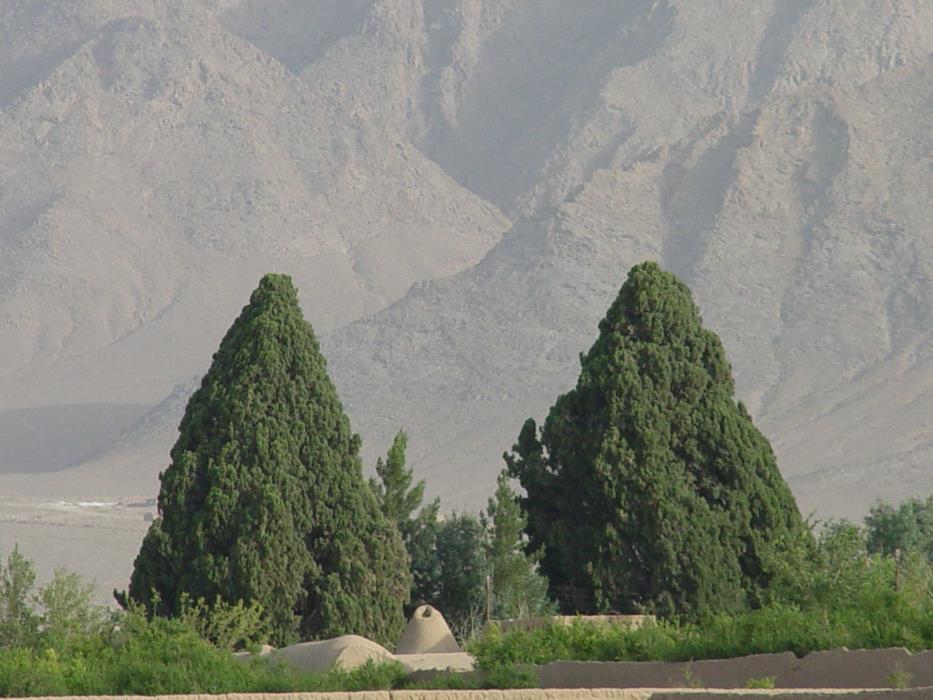 روستای دربید-bVfepsED6T