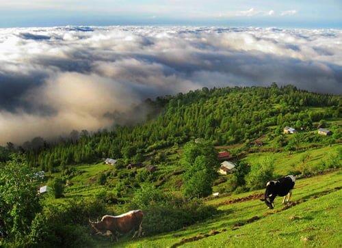 تعطیلات خرداد ۱۴۰۱ كجا بریم ؟-bZk5nCeKv3