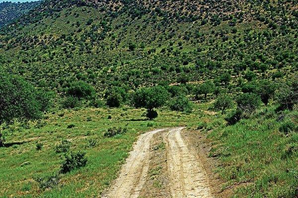 روستای كرخنگان ، روستای نمونه گردشگری استان یزد-baZwzu9C56