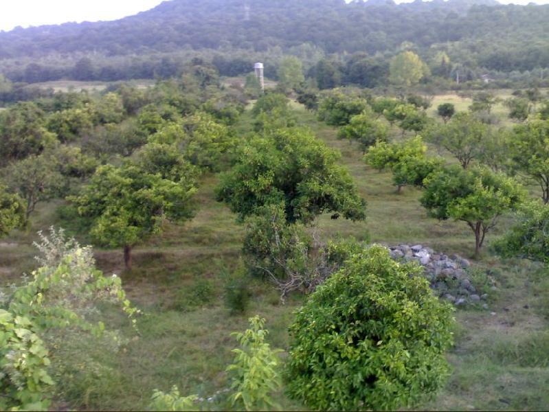 روستای كوشكسرا-bfg3Kr5w02