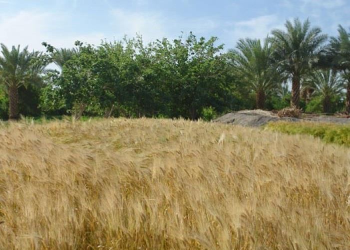 روستای لادیز-bjHXQCqIlo