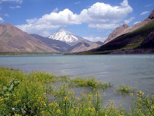 دشت لار، دشت شقایق های تهران-bjJzareCe2