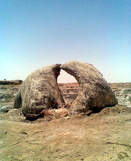 دلفینهای نمكی كویر مركزی-bkepocvk2o