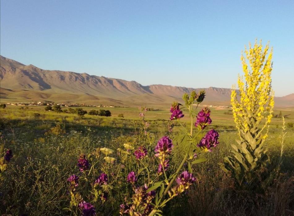 روستای گردشگری خلج-c3YvQ4UAD6