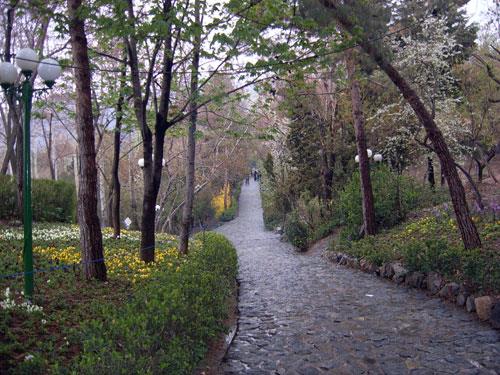 بوستان جمشیدیه-cA38hsYVWq