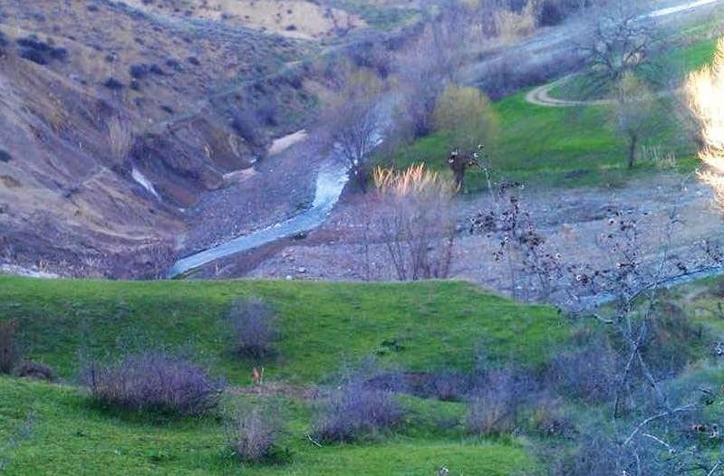 رودخانه سیلن چای-cCFpVSfgig