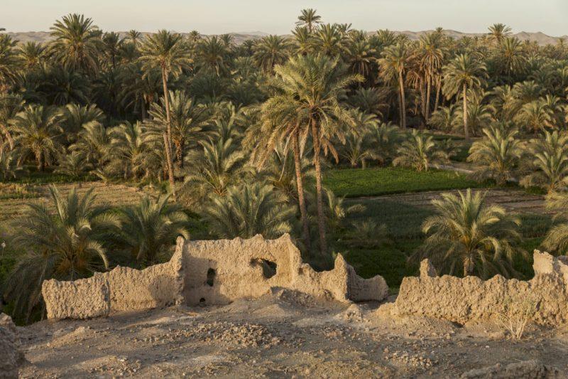 قلعه مهرستان ، قلعه تاریخی زابلی-cLWdQ2hpoc