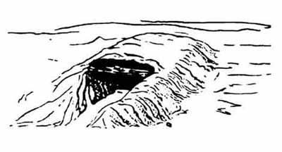 چگونه یك سرپناه بسازیم؟-cQ6qPqwrN2