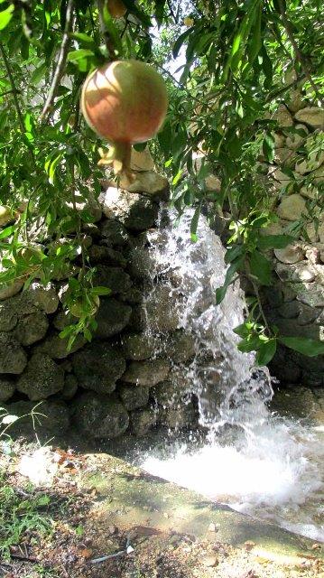 روستای نوایگان-cT7d8P15vI