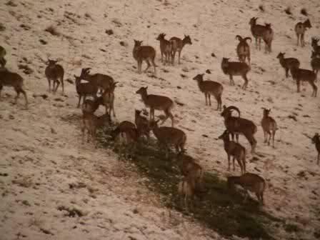 منطقه حفاظت شده ورجین تهران-cXvrJHv1kD