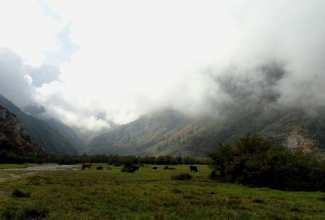 دشت دریاسر ( بهشت اردیبهشت ایران )-ccZMGDZxTl