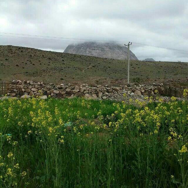 میل فرهاد زهكلوت-cmNaRJUxiS