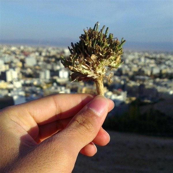 جاده سلامت شاهرود-cqwJFfSteo