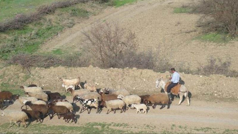 روستای كفشگیری-ct1RCIjpy0