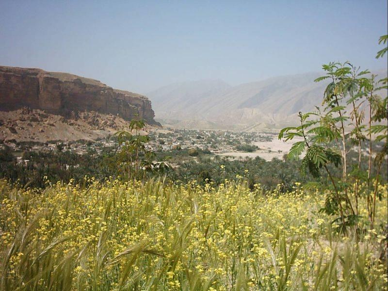 شهر رویدر-cwTHWv2lPt