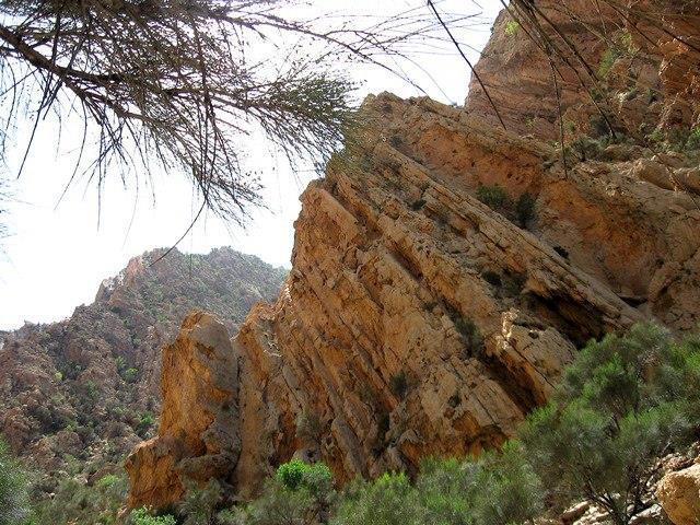 جنگل چاتیز جهرم-cwjNGpADKt