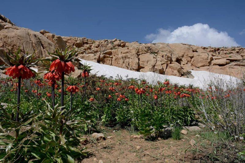 جاده بودجان دهاقان-cxuHNUYttZ